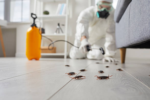 Commercial Kitchen Cockroach Control in Brookfield Center